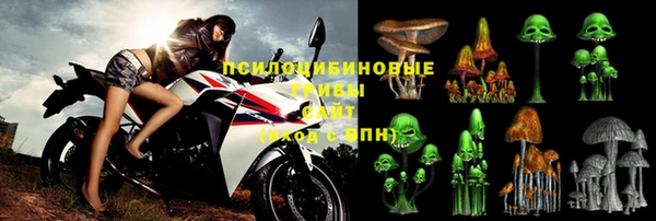 PSILOCYBIN Дмитров