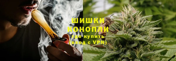 PSILOCYBIN Дмитров