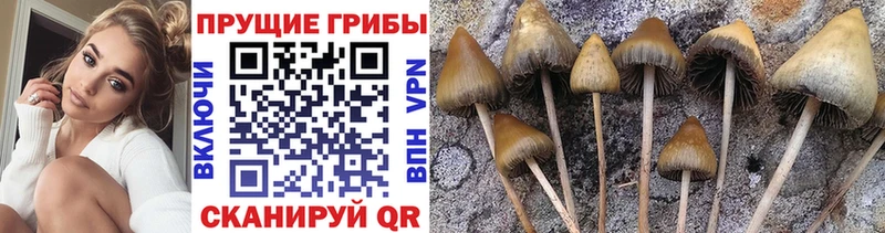 Галлюциногенные грибы Magic Shrooms  OMG рабочий сайт  Балашов 