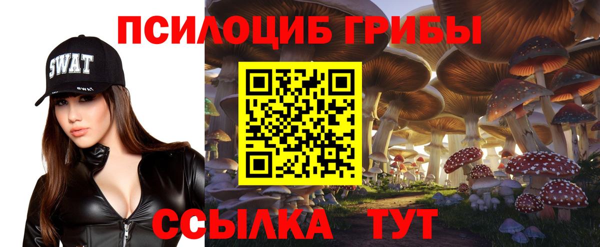 Псилоцибиновые грибы прущие грибы  Вход с VPN  Балашов 