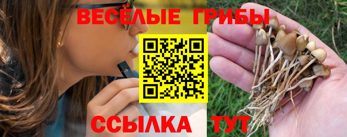 Галлюциногенные грибы Psilocybe Балашов