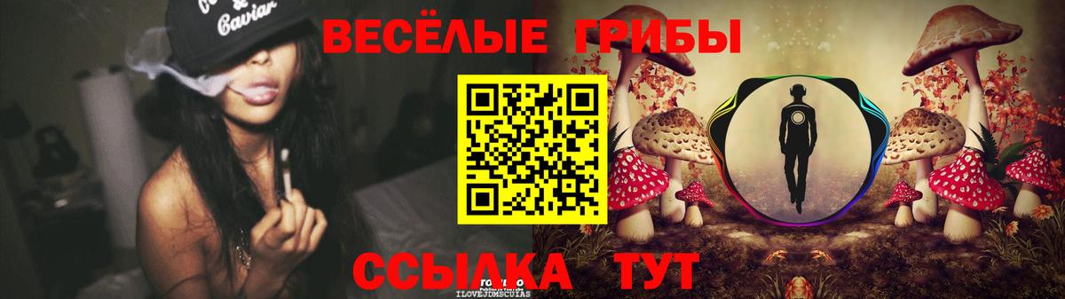 Галлюциногенные грибы GOLDEN TEACHER  Балашов  Псилоцибиновые грибы Cubensis 